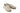 TOMS Damen Natural Woven Stripes Alpargata Rope Sole